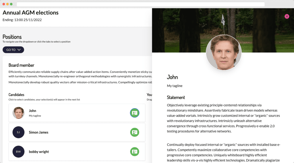 Customer profile user interface